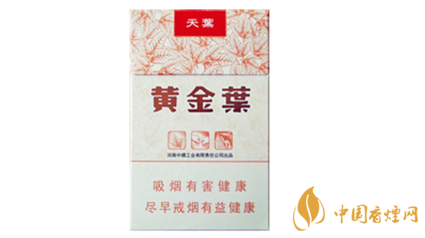 黃金葉天葉真?zhèn)卧趺幢鎰e？天葉真假如何看？