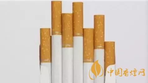 香煙和雪茄哪個好抽？香煙和雪茄八大區(qū)別介紹2020