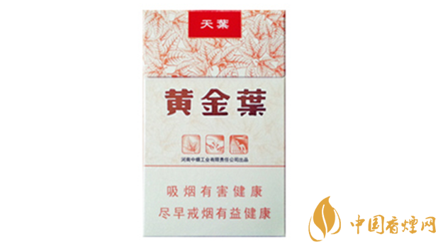 黃金葉天葉真假怎樣區(qū)分？黃金葉天葉真假識(shí)別