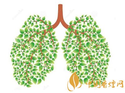 相比癌癥慢阻肺疾病離吸煙者更近！