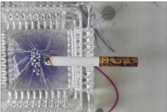 黃鶴樓漫天游，除了短貴沒別的毛病