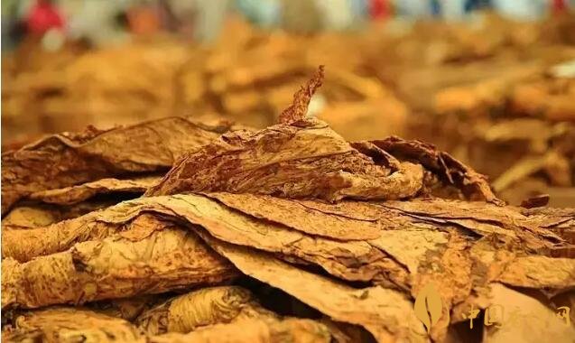 津巴布韋煙葉為什么好，黃金煙葉成為國寶