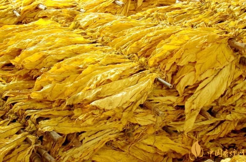 朱砂煙到底是什么煙，云煙朱砂煙有哪幾款